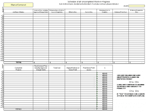 Work in Progress (WIP) Template